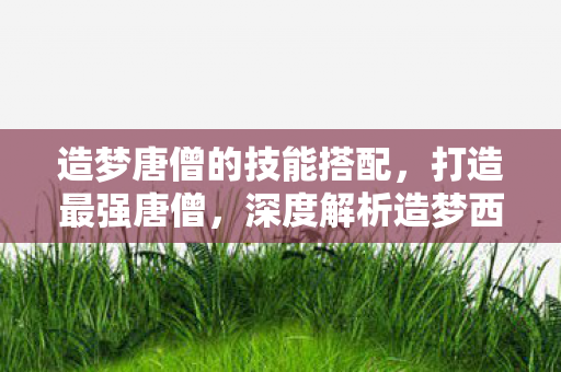 造梦唐僧的技能搭配，打造最强唐僧，深度解析造梦西游唐僧配招策略