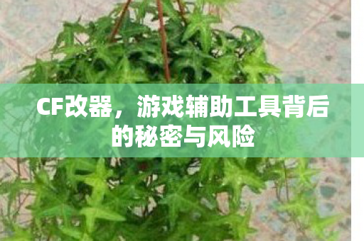 CF改器，游戏辅助工具背后的秘密与风险