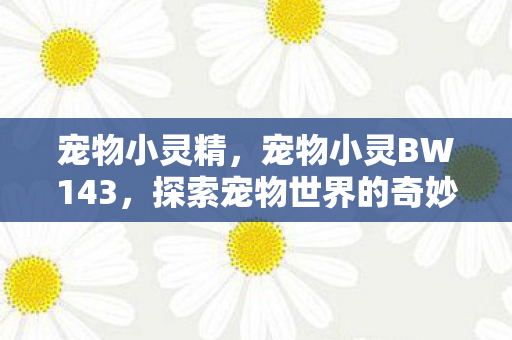 宠物小灵精，宠物小灵BW143，探索宠物世界的奇妙之旅