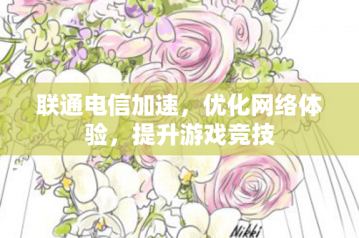联通电信加速，优化网络体验，提升游戏竞技