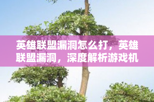 英雄联盟漏洞怎么打，英雄联盟漏洞，深度解析游戏机制中的安全隐忧