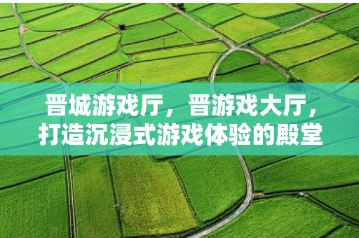 晋城游戏厅，晋游戏大厅，打造沉浸式游戏体验的殿堂