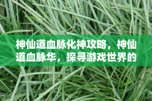 神仙道血脉化神攻略，神仙道血脉华，探寻游戏世界的血脉传承与华彩篇章