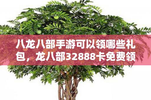 八龙八部手游可以领哪些礼包，龙八部32888卡免费领取，畅游经典，无需付费的奇幻之旅