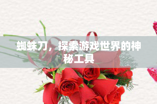 蜘蛛刀，探索游戏世界的神秘工具