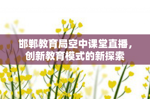 邯郸教育局空中课堂直播，创新教育模式的新探索