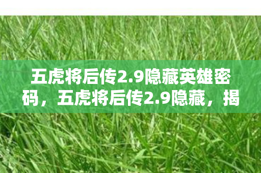 五虎将后传2.9隐藏英雄密码，五虎将后传2.9隐藏，揭秘未知战场，再续英雄传奇