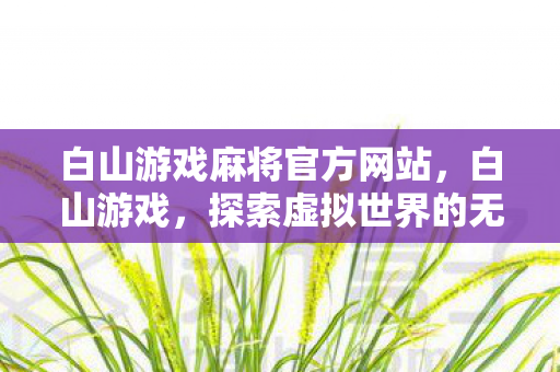 白山游戏麻将官方网站，白山游戏，探索虚拟世界的无限可能