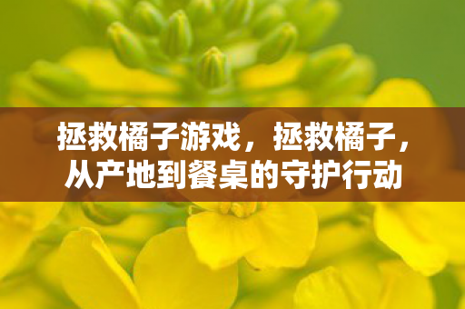 拯救橘子游戏，拯救橘子，从产地到餐桌的守护行动