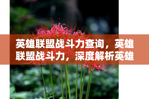 英雄联盟战斗力查询，英雄联盟战斗力，深度解析英雄强度与玩家技术的融合