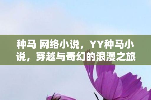 种马 网络小说，YY种马小说，穿越与奇幻的浪漫之旅