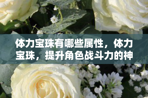 体力宝珠有哪些属性，体力宝珠，提升角色战斗力的神秘宝石