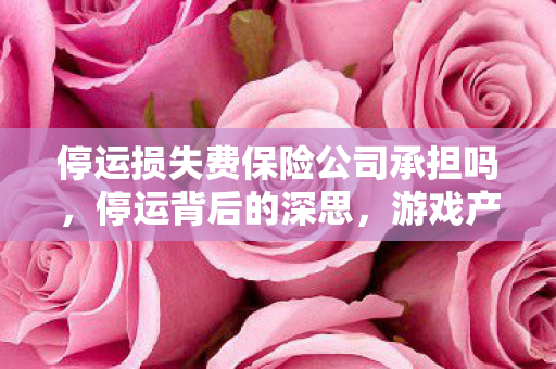 停运损失费保险公司承担吗，停运背后的深思，游戏产业的合规与未来