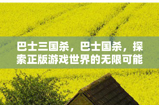 巴士三国杀，巴士国杀，探索正版游戏世界的无限可能