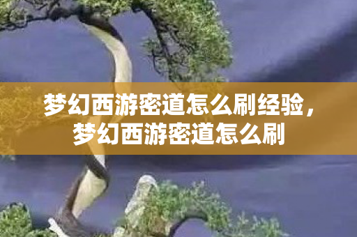 梦幻西游密道怎么刷经验，梦幻西游密道怎么刷