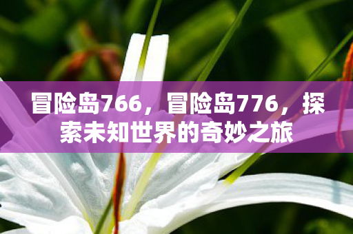 冒险岛766，冒险岛776，探索未知世界的奇妙之旅