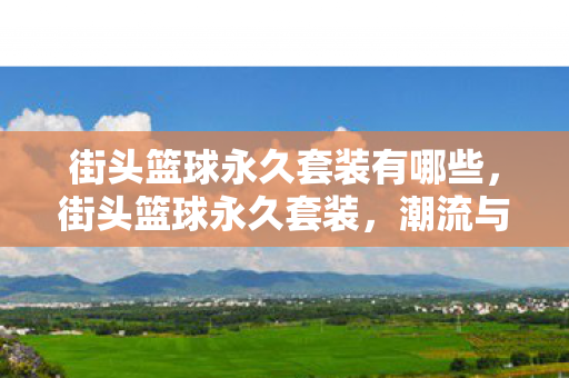 街头篮球永久套装有哪些，街头篮球永久套装，潮流与竞技的完美结合