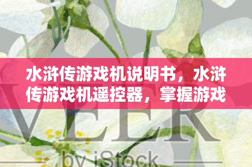 水浒传游戏机说明书，水浒传游戏机遥控器，掌握游戏世界的神秘钥匙