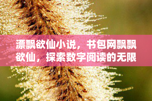 漂飘欲仙小说，书包网飘飘欲仙，探索数字阅读的无限可能