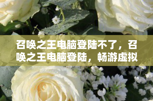 召唤之王电脑登陆不了，召唤之王电脑登陆，畅游虚拟世界的便捷之道