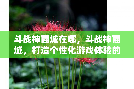 斗战神商城在哪，斗战神商城，打造个性化游戏体验的绝佳平台