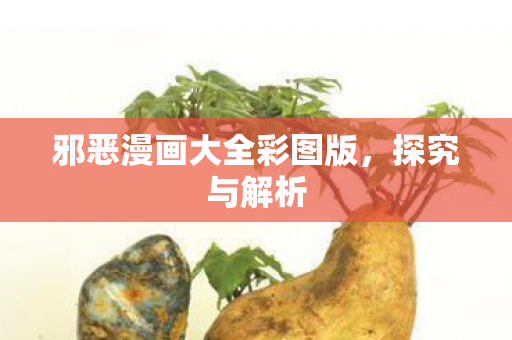 邪恶漫画大全彩图版，探究与解析