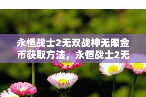 永恒战士2无双战神无限金币获取方法，永恒战士2无双战神，无限金币的冒险之旅