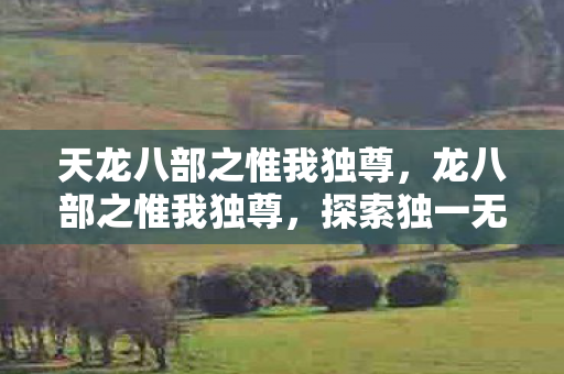 天龙八部之惟我独尊，龙八部之惟我独尊，探索独一无二的武侠世界