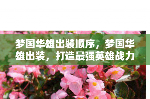 梦国华雄出装顺序，梦国华雄出装，打造最强英雄战力的秘密