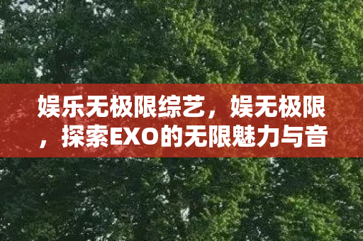 娱乐无极限综艺，娱无极限，探索EXO的无限魅力与音乐之旅