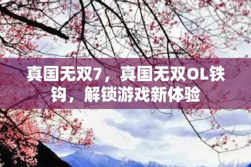 真国无双7，真国无双OL铁钩，解锁游戏新体验