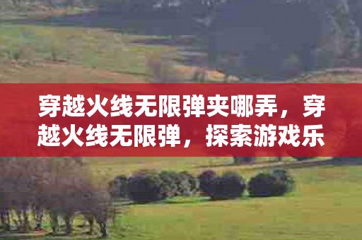 穿越火线无限弹夹哪弄，穿越火线无限弹，探索游戏乐趣的新边界
