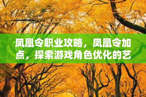 凤凰令职业攻略，凤凰令加点，探索游戏角色优化的艺术