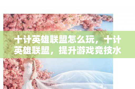 十计英雄联盟怎么玩，十计英雄联盟，提升游戏竞技水平的策略指南