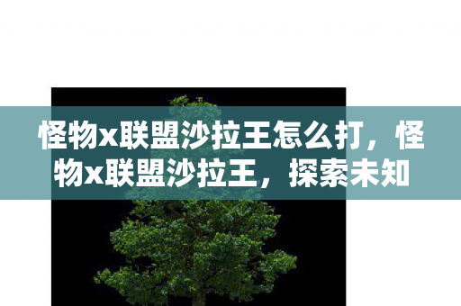 怪物x联盟沙拉王怎么打，怪物x联盟沙拉王，探索未知世界的奇妙冒险