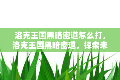 洛克王国黑暗密道怎么打，洛克王国黑暗密道，探索未知的挑战与冒险