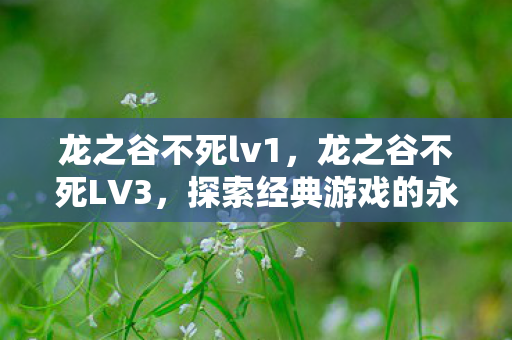 龙之谷不死lv1，龙之谷不死LV3，探索经典游戏的永恒魅力