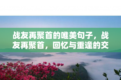 战友再聚首的唯美句子，战友再聚首，回忆与重逢的交响曲