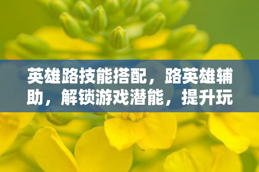 英雄路技能搭配，路英雄辅助，解锁游戏潜能，提升玩家体验