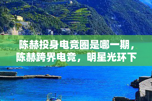 陈赫投身电竞圈是哪一期，陈赫跨界电竞，明星光环下的新挑战