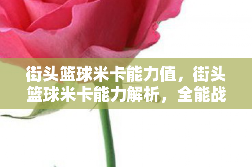 街头篮球米卡能力值，街头篮球米卡能力解析，全能战士的实战魅力