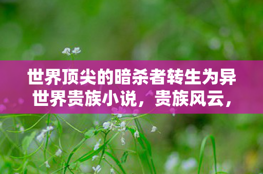 世界顶尖的暗杀者转生为异世界贵族小说，贵族风云，权力与荣耀的交响曲