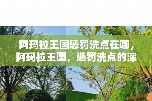 阿玛拉王国惩罚洗点在哪，阿玛拉王国，惩罚洗点的深层意义与玩家责任