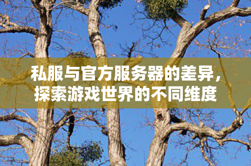 私服与官方服务器的差异，探索游戏世界的不同维度
