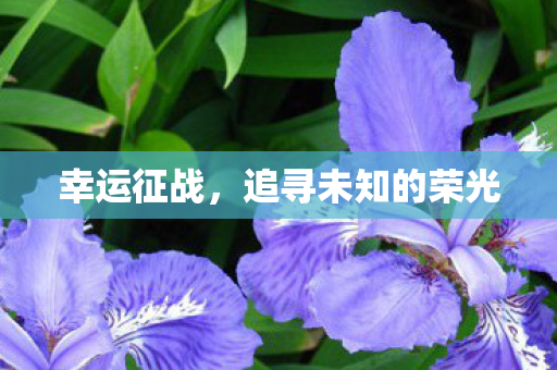 幸运征战，追寻未知的荣光