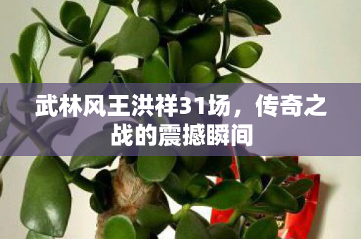 武林风王洪祥31场，传奇之战的震撼瞬间