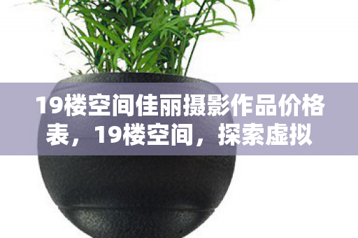 19楼空间佳丽摄影作品价格表，19楼空间，探索虚拟世界的无限可能