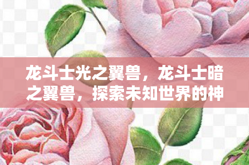 龙斗士光之翼兽，龙斗士暗之翼兽，探索未知世界的神秘力量