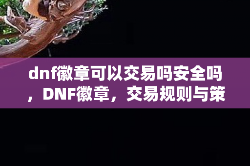 dnf徽章可以交易吗安全吗，DNF徽章，交易规则与策略解析