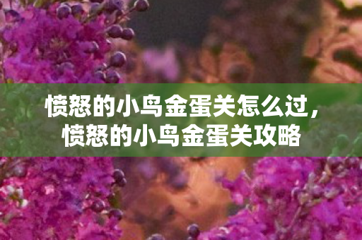 愤怒的小鸟金蛋关怎么过，愤怒的小鸟金蛋关攻略